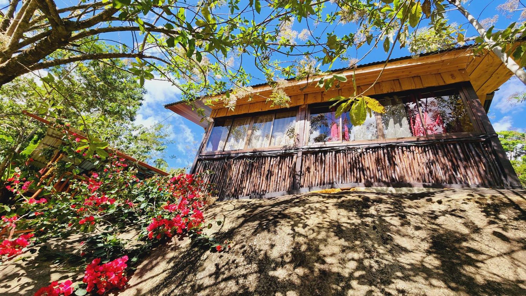 Hospedajes Richie Eco Camp Providencia Exterior photo